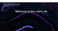Desktop Screenshot of lubinlab.com